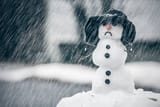 istockphoto-462974713-612x612