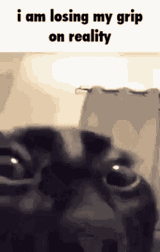 1745394534878992
