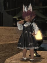 ffxiv_dx11_jNfu2EhoFA