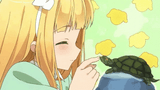 anime-turtle