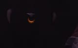 1751565794445766