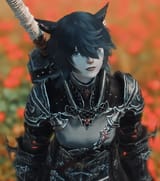 ffxiv_dx11_VHNjG9YbKZ