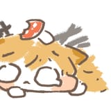 ceobe flat