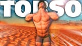 torso