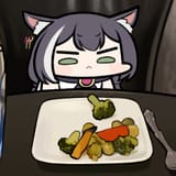 kot doesnt like veggies