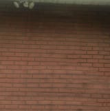 Just_a_wall