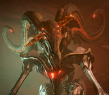 WarframePazuul