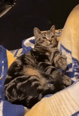 there there
