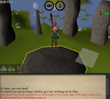 1732811176693531