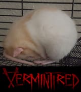 rat vermintired