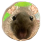 1740174764102155