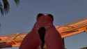 Serenabody_thumb.jpg