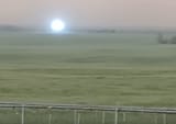 ball