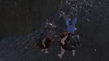 screenshot_1215
