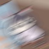 83098453_p5