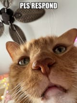 PLS