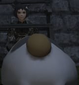 fatbutt