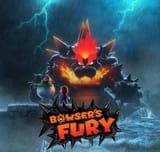 Bowser%27s_Fury_cover
