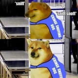 1729080739790396