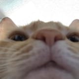 1738385452551349
