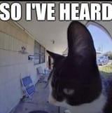 all ears