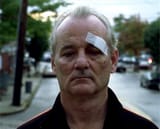 sad murray