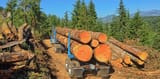 oregon-logging-truck-3832212565