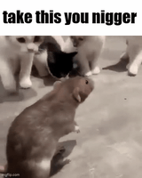 1731752277717301