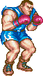 boxer-st