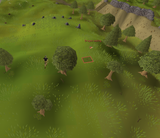 1720997710157482