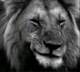 it is what it is