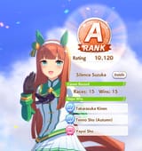 1733030325052056