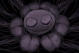 whatre_you_lookin_at