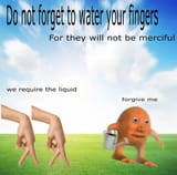 1749176528214600