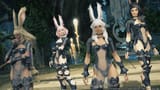 BNUUY BNUUY I NEED MROE BUNNY