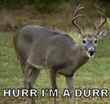durr