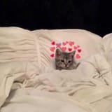 me when im cute (all the time)