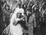 covid wedding