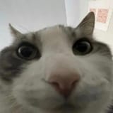 1746031069824861