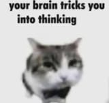 1726997552086650