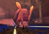 359493-gastropod