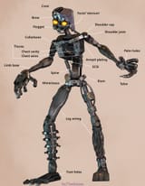 may-i-interest-you-in-some-mimic-anatomy-terms-v0-t38zt701ad1f1
