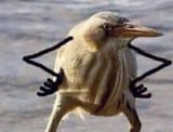 1723853722357