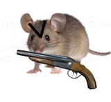 mouseshotgun