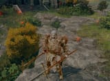 god