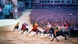 Il+Palio
