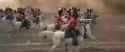Waterloo scots greys_thumb.jpg
