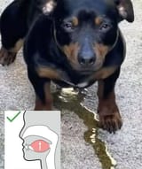 1742189036505560