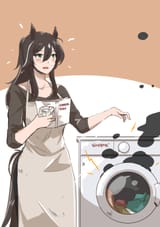 meteor washing machine