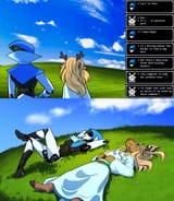 winXP